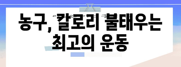 농구를 통한 칼로리 소모량 최대화 | 효과적인 운동법