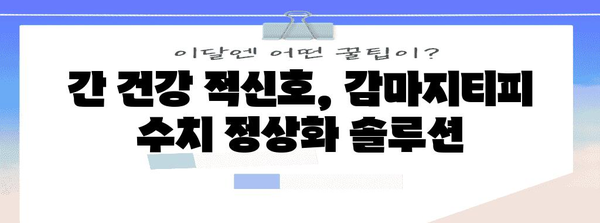 간 기능 개선을 위한 감마지티피 수치 정상화 팁