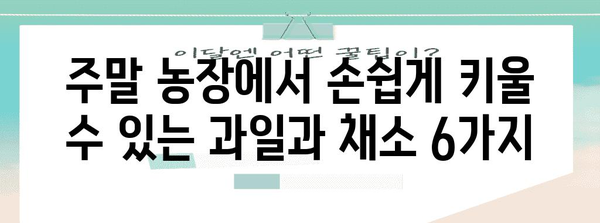 정원을 위한 인기 과일 및 채소 6가지 | 주말 농장에서 재배하기