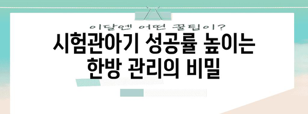 시험관아기 성공률 파헤치기 | 한방 관리의 효과와 사례