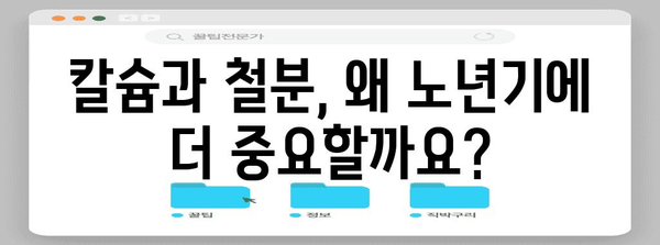 노후 방지에 필수적인 칼슘과 철분 | 종합적 가이드