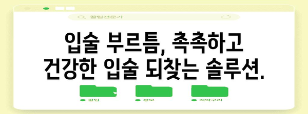 입술 부르틈 치료법 | 연고·약물의 과학적 가이드