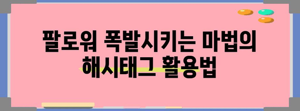 인스타그램 성공 꿀팁 | 팔로워와 좋아요 폭발시키기