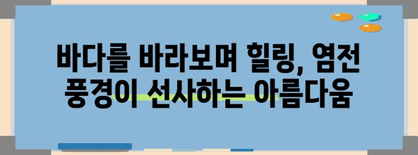 을왕리 동양염전 | 애견과 함께 멋진 시간 보내는 카페