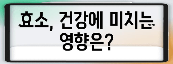 효소 부작용 | 주의해야 할 사항과 건강에 미치는 영향