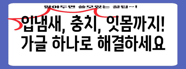 가글 추천 | 입냄새, 충치, 잇몸 케어 일석삼조