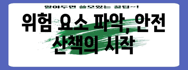 안전한 강아지 산책 | 위험성 가이드와 올바른 신발 선택