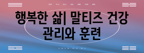 말티즈 입양의 모든 것 | 건강한 반려견 맞이하기 위한 가이드