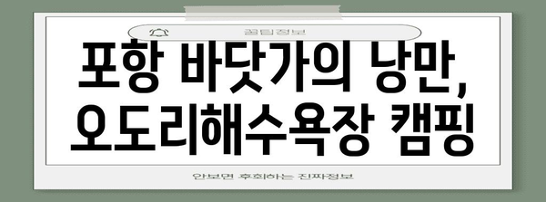 포항해변에서의 완벽한 하루 | 캠핑, 오도리해수욕장 탐험