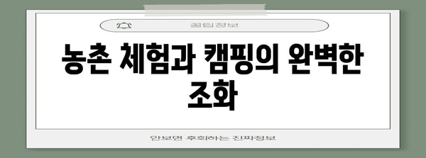 주말 농장 캠핑 | 안락함과 모험이 만나는 힐링 체험