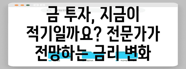 금 투자를 현명하게 | 전문가의 금리 전망과 투자 방법