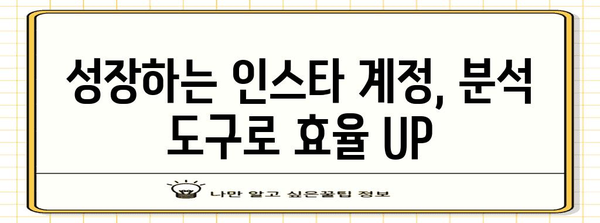 인스타그램 성공 꿀팁 | 팔로워와 좋아요 폭발시키기