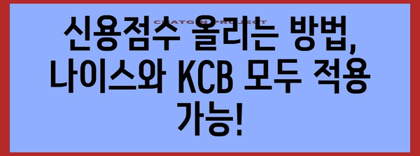 나이스 vs KCB 신용점수 비교 | 올리는 방법과 신용관리 꿀팁