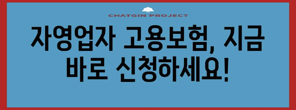 자영업자 고용보험 지원 금상첨화 | 신청부터 혜택까지 망라한 가이드