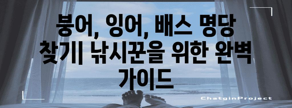 붕어 잉어 배스 낚시 포인트 명당 총정리