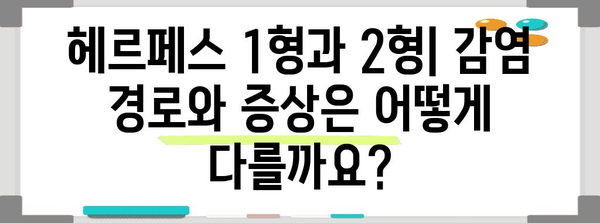 헤르페스 1형과 2형의 차이점 | 효과적인 관리를 위한 필수 정보