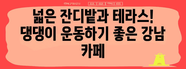 강남 애견 동반 카페 5선 | 달리기를 사랑하는 반려견과 함께