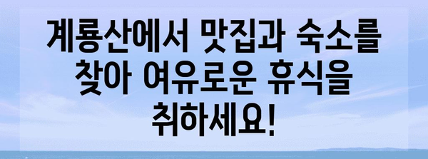 계룡산 여름 휴가 최적 코스 | 물놀이, 피크닉, 하이킹