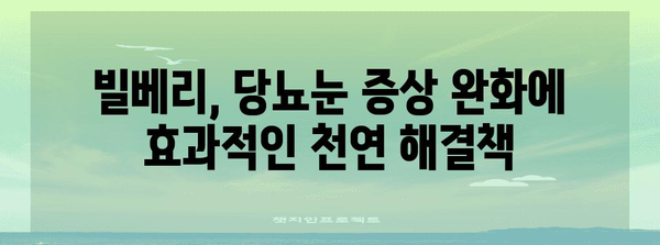 당뇨눈 증상 완화를 위한 천연 치료법 | 빌베리의 놀라운 효능