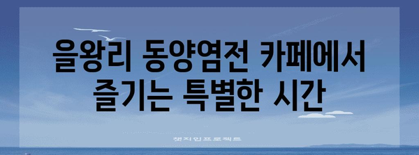 을왕리 동양염전 | 애견과 함께 멋진 시간 보내는 카페