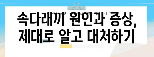 속다래끼 퇴치 | 빠르고 효과적인 방법