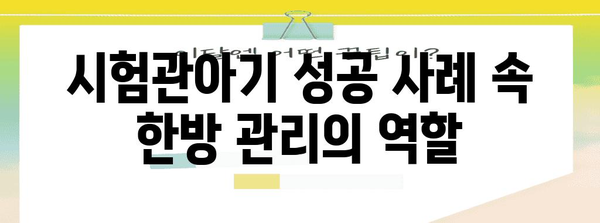 시험관아기 성공률 파헤치기 | 한방 관리의 효과와 사례