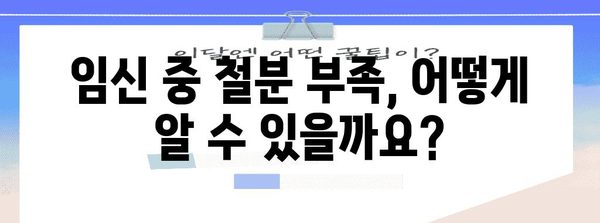 임신 중의 필수 영양소, 철분의 중요성