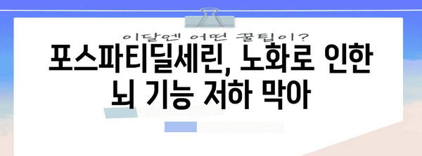 포스파티딜세린 | 뇌 건강의 자연 보호자