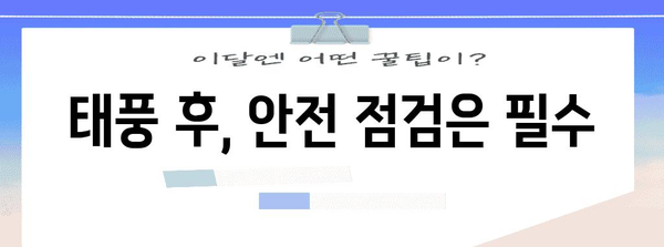 태풍 대비, 나에게 꼭 맞는 안전 지침 찾기 | 태풍, 안전 가이드, 대비, 행동 요령, 정보