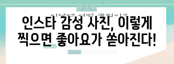인스타그램 성공 꿀팁 | 팔로워와 좋아요 폭발시키기
