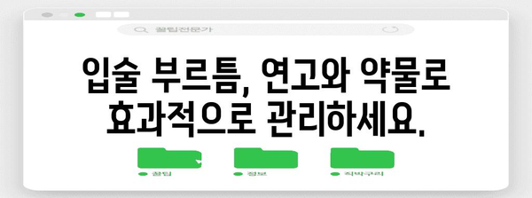 입술 부르틈 치료법 | 연고·약물의 과학적 가이드