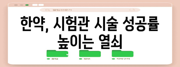 한약으로 임신 준비 | 시험관 시술 성공 확률 향상