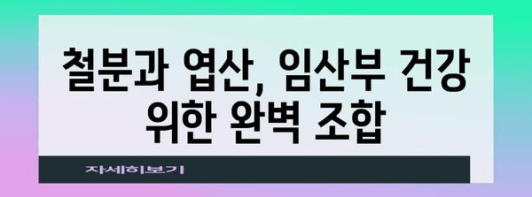 임산부 필수 영양소 철분 엽산 효과적인 동시 섭취법