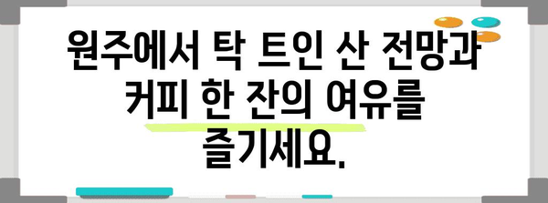 원주 마운틴 뷰 | 분위기 넘치는 카페 추천