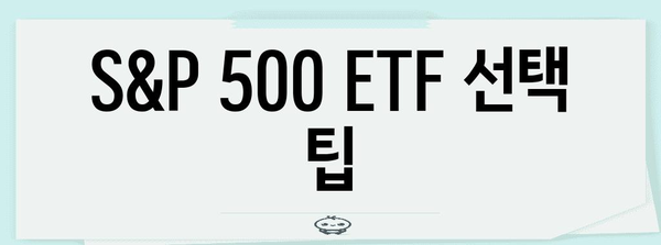 미국 대형주 투자 | S&P 500 ETF 가이드