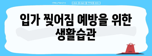 입가 찢어짐 가이드 | 원인, 증상, 치료법