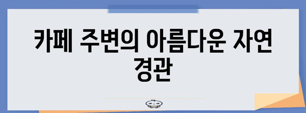 고성 스위밍 터틀 카페 | 숨막히는 바다 전망과 맛있는 푸드