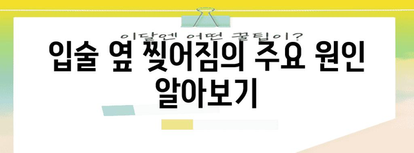 입술 옆 찢어짐 후시딘 연고 효과 | 통증 완화 꿀팁